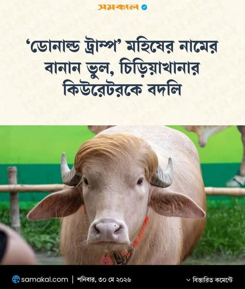 বাফেলো কূটনীতি বইলা ব্যাপারটা অতো খারাপ ঘটনা হল না। তবে, এর পরবর্তি ঘটনাপ্রবাহ কৌতুকপূর্ণ। সর্বশেষে যখন কসাইখানা থিকা চিড়িয়াখ…